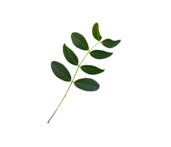 We Listen We Love (1)_edited.png