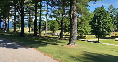 Paved path through a serene park with tall trees and distant lake.