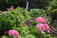 SILKCUT写真館　20