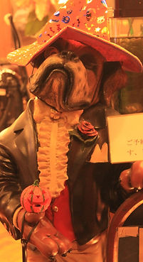 IMG_5683_edited.jpg