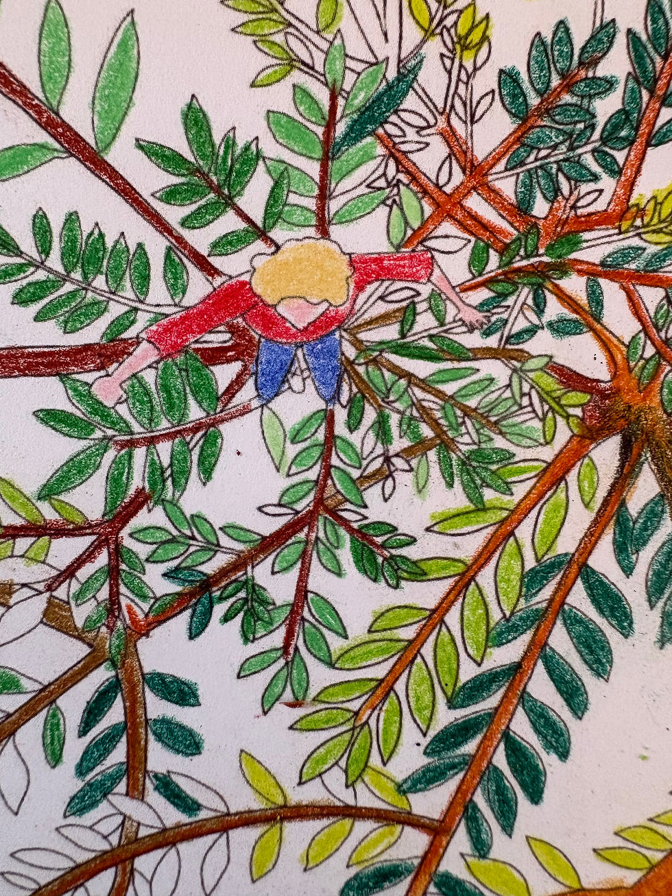 Thumbnail: Come on a Dream Walk: A Colouring Book with a Story by Lisa MacDonald