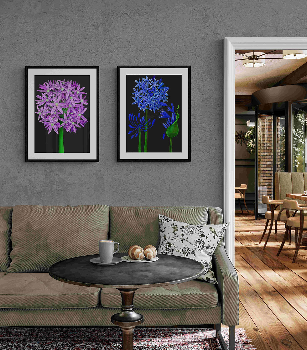Miniaturbild: Large Agapanthus and purple allium  on a dark background. On the wall with a similar blue agapanthus next to it