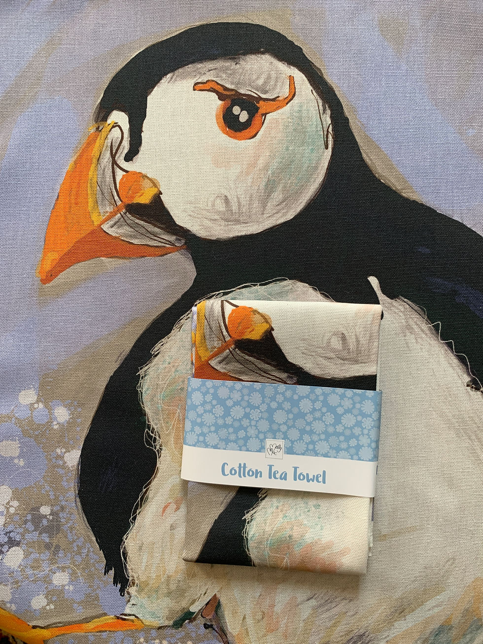 Thumbnail: A large black and white puffin with a cheeky look splashing about in the sea