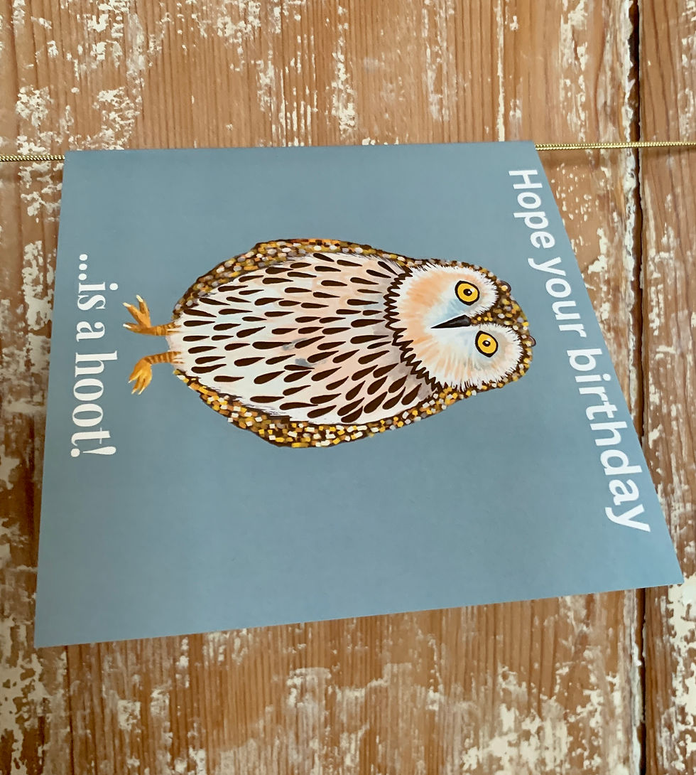 Thumbnail: Fun drawing of an owl on a turquoise background with the slogan 'Hope Your Birthday is a hoot!'