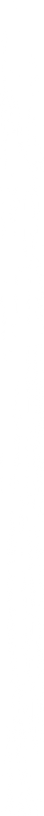 borrao_edited_edited_edited.png