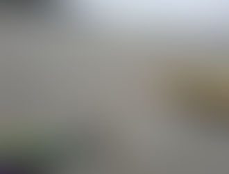 Como nasceu a Anima - Comunidade de Aprendizagem