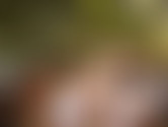 Nossos princípios e valores