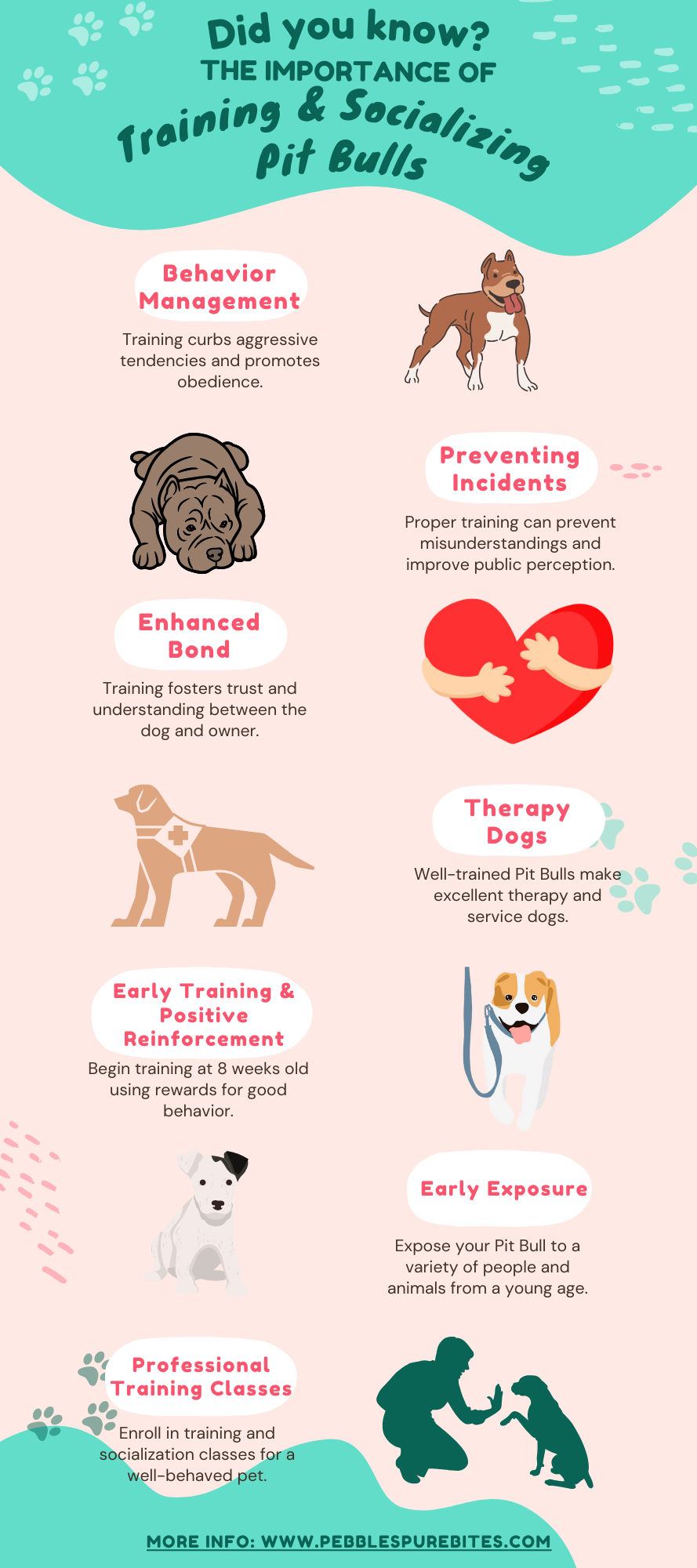 Infographic depicting the importance of training and sociallizing pit bulls