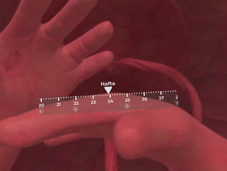 WONDERING ABOUT THE DUCK-HEADED SILVER PITCHER