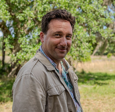 Jeff Paules - Sylvan Capture