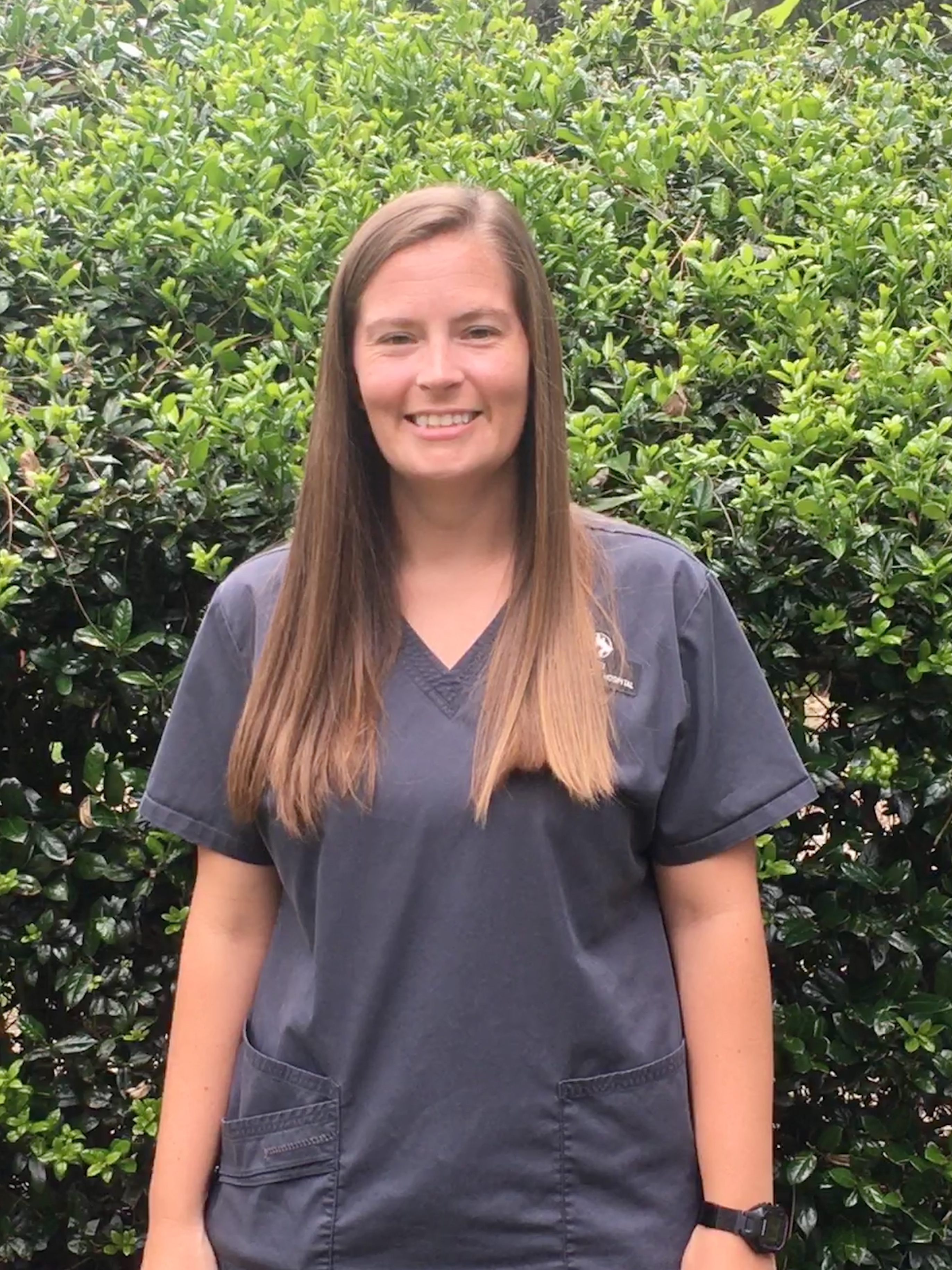 Perry Animal Hospital