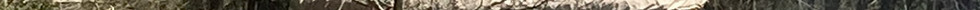 BCD0EC94-9017-46D4-A656-75AF08439CE2.jpg