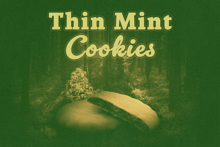 Thin Mint Cookies