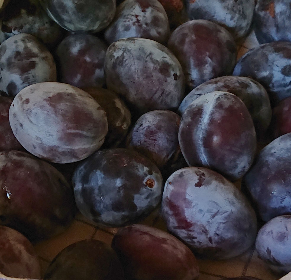 Pruneaux