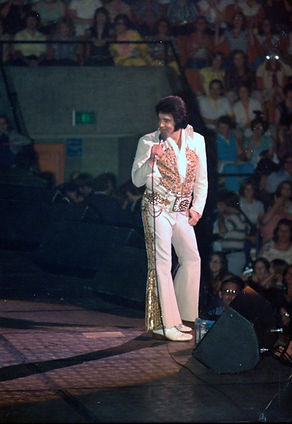 The Final Bow | The Elvis Files