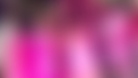 The foundation stone blessed for the New Holy Family Church!