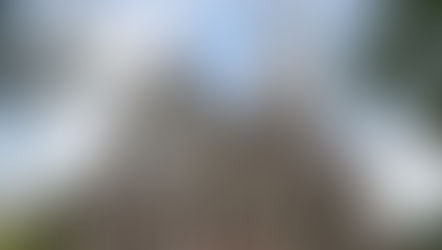 ವಿಶ್ವಗುರು ಫ್ರಾನ್ಸಿಸ್ ಅವರಿಂದ ಐರ್ಲೆಂಡಿನ ಫರ್ನ್ಸ್ ನಲ್ಲಿ ನವ ಧರ್ಮಾಧ್ಯಕ್ಷರ ನೇಮಕ