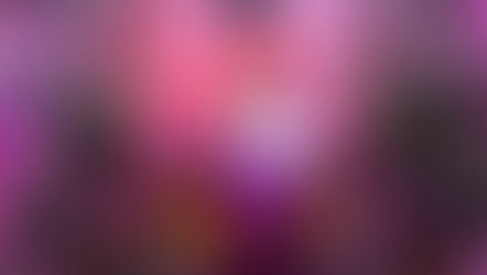 St. Mary's Feast and Novena 2020