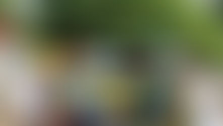 Environmental Day Celebration by the Archdiocesan Offices