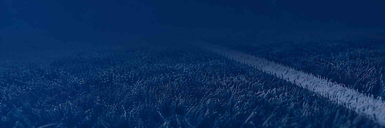Navy turf with field strip
