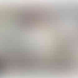 Reverse-printed vinyl floor with a custom "Don't Be Dumb" currency graphic.