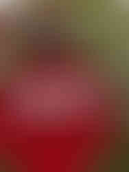 Roulette Custom Painted Turf Game Board