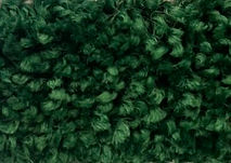 Infinity-Emerald eco-friendly trade show carpet
