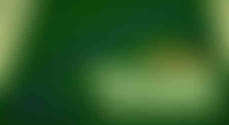 Trade Show Custom Painted Turf