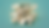 Monte Bocca Machine A .png