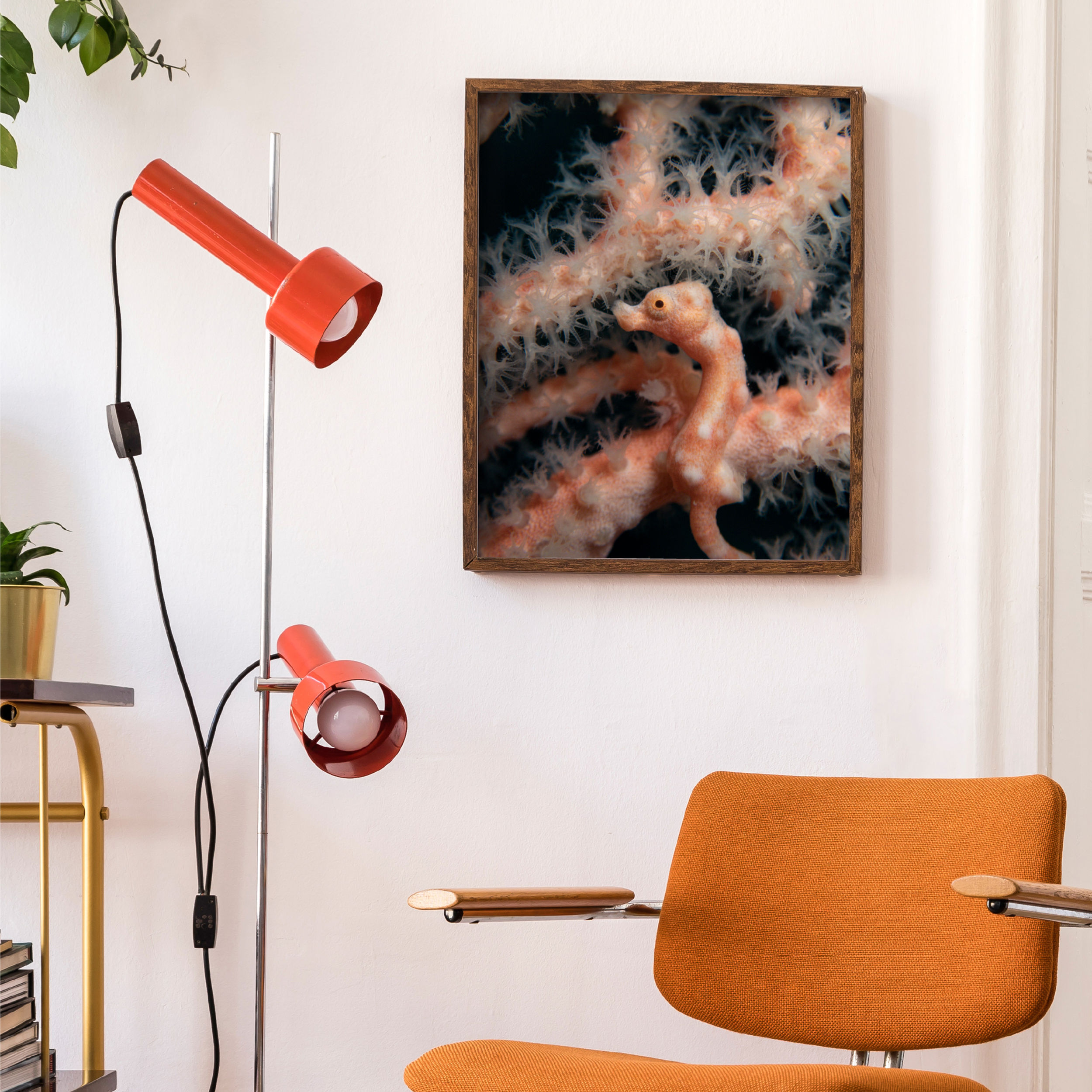 Master of Camouflage