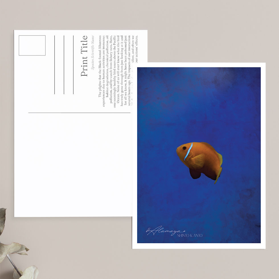 FIsH n BLeU Postcard