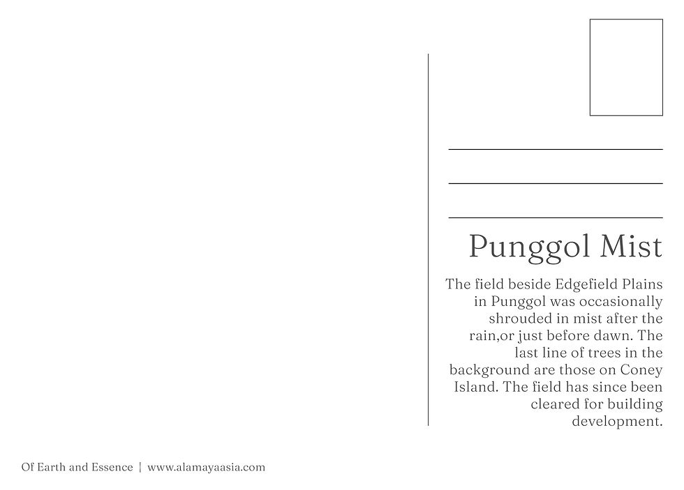 Thumbnail: Punggol Mist Postcard