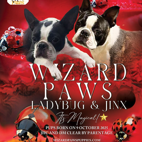 Graphic LadyBug x Jinx.jpg