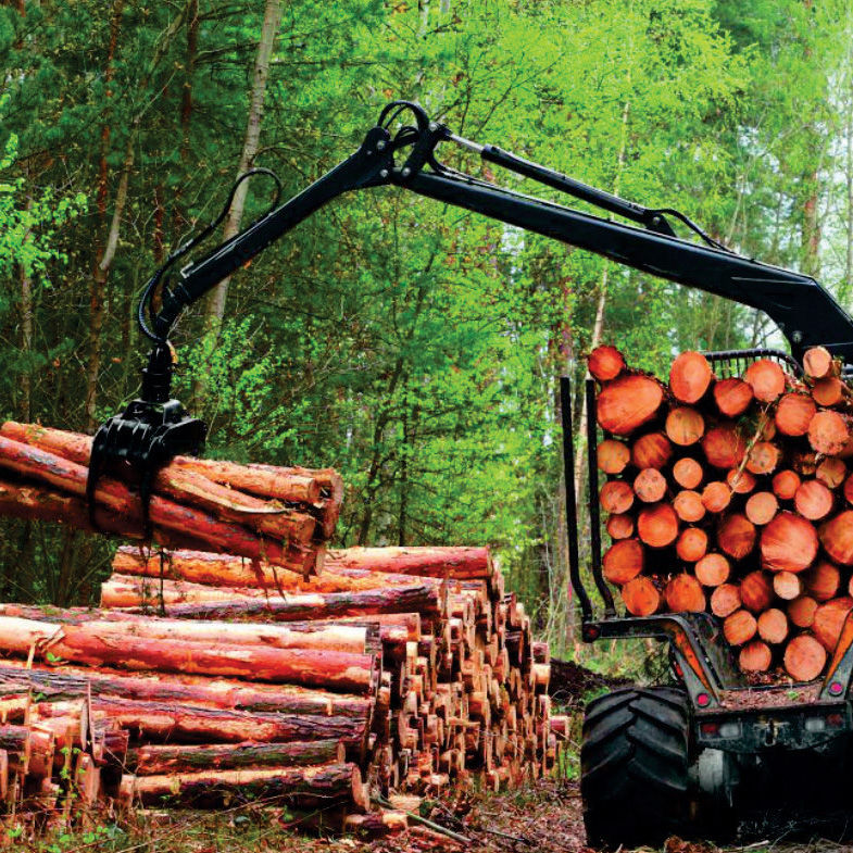 Thumbnail: Pesgem emgrua florestal