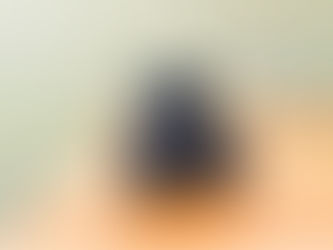 Arang Briket dari Limbah Organik : Inovasi Hijau untuk Masa Depan