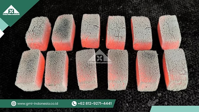 تصدير جوز الهند "ذو العُرف": فتح الإمكانات الخفية للزراعة الاستوائية