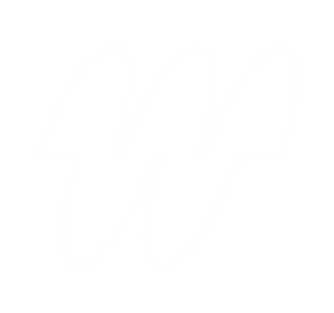 Will Logo-10_edited_edited.png