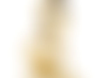 AMSEL campaign is a 2025 Gold Award Winner at the Davey Awards!