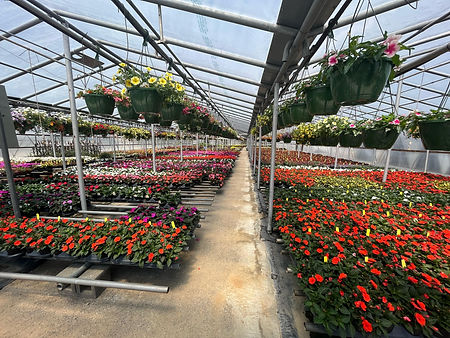 Garden3.jpg