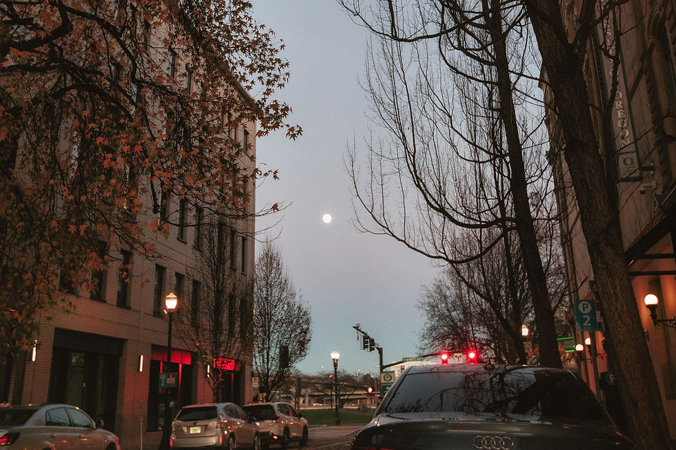Evening ambiance on a quiet city street with autumn trees and streetlights