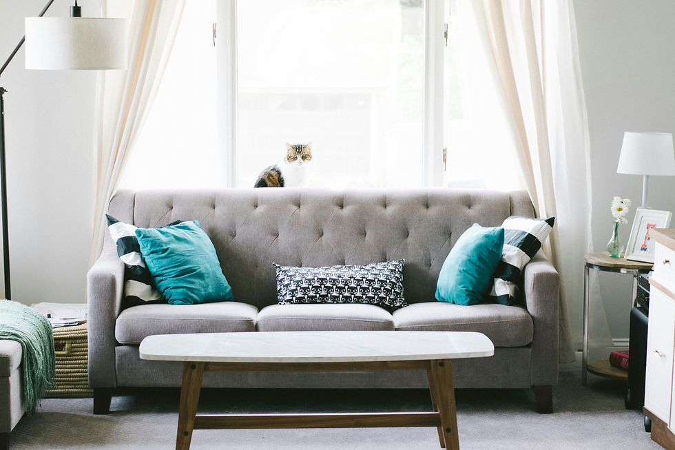 Cozy living room with a grey sofa, wooden table, and a cat on the window sill