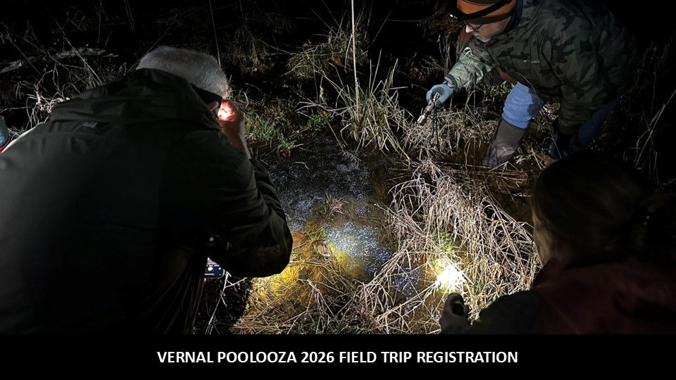 Vernal Poolooza 2026 - Field Trip Registration