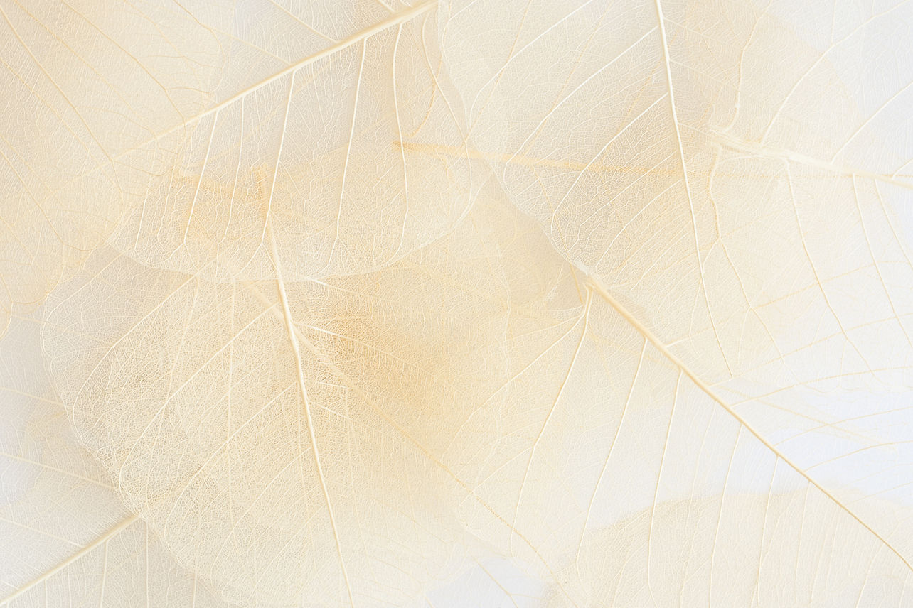 AdobeStock_67264517.jpeg