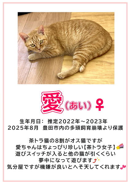 愛.JPEG