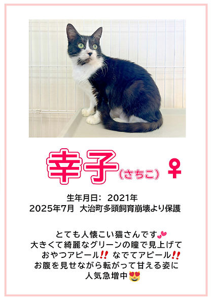 幸子.JPEG