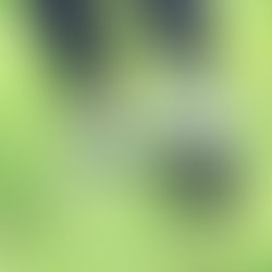 What is Posterior Tibialis Syndrome?