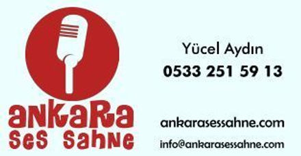 kiralık ses sistemi, kolon kiralama, hoparlör kiralama, ankara anfi kiralama