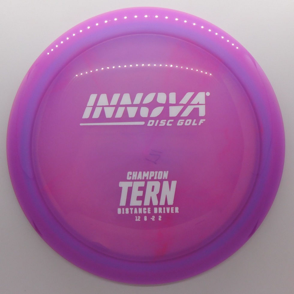 INNOVA CHAMPION TERN Disc Golf Disc  Northern Indiana Mishawaka