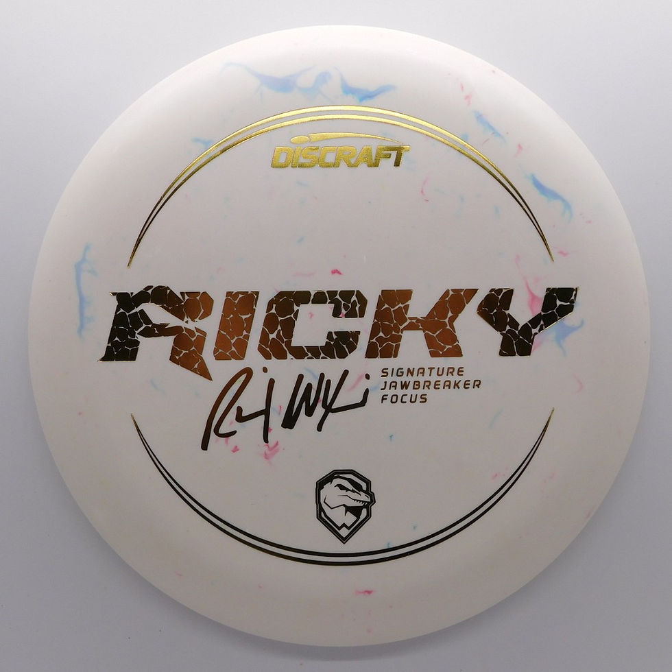 DISCRAFT JAWBREAKER FOCUS RICKY WYSOCKI great flying putter that has a small bead and a very straight flight