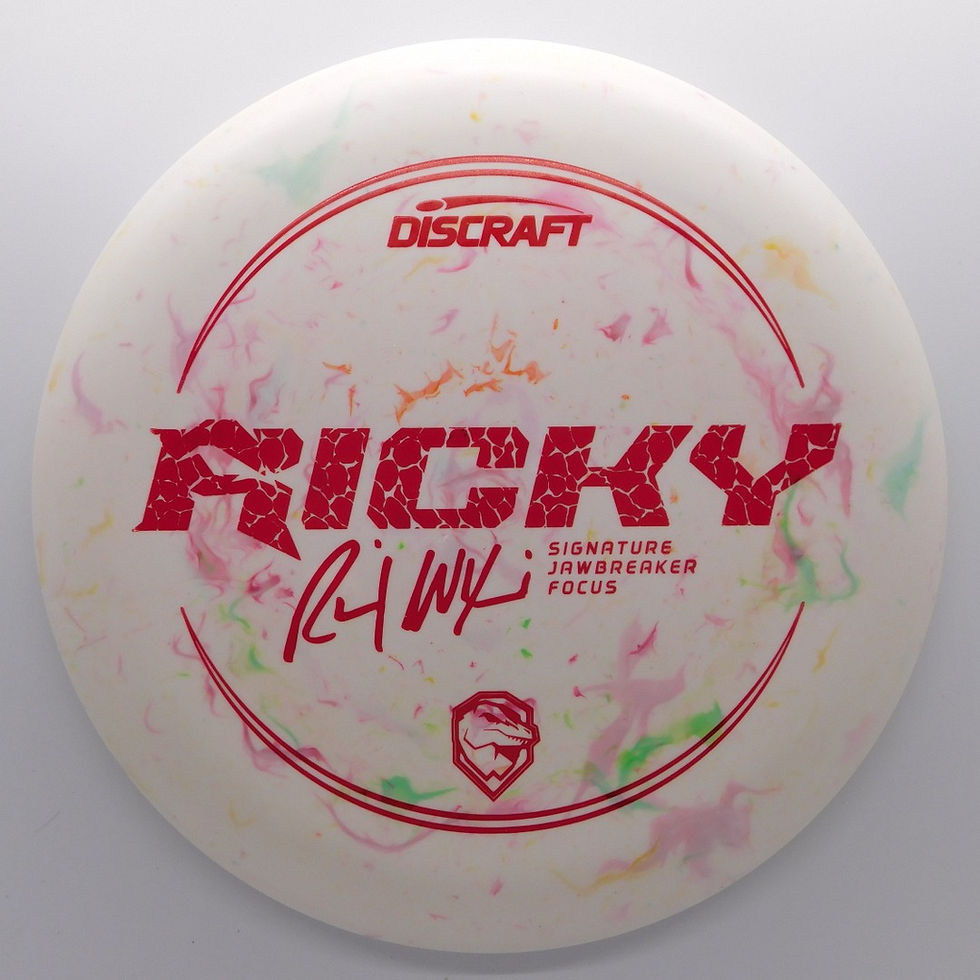 DISCRAFT JAWBREAKER FOCUS RICKY WYSOCKI great flying putter that has a small bead and a very straight flight